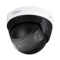 cctv_security_surveillance_camera_system_dahua_panoramic_dome