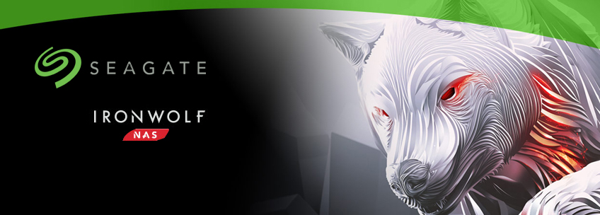 cctv_security_surveillance_camera_system_security_solutions_supplier_brand_hard_disk_seagate_ironwolf